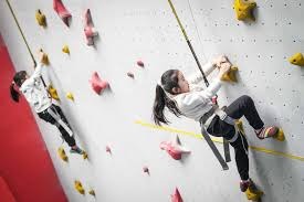 卢戈投球策略分析